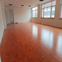 柏鄉某小學舞蹈室